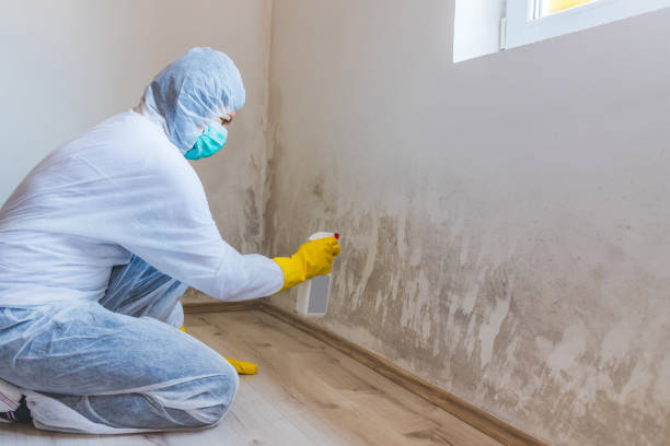 Mold Remediation specialist working in Medfield